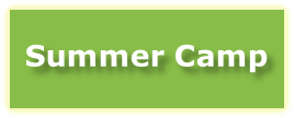 LIM Summer Camp